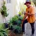Delmar McComb, Garden Curator
